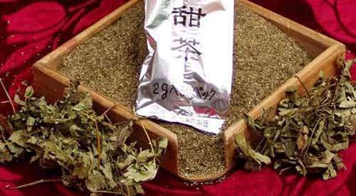 罗浮山甜茶