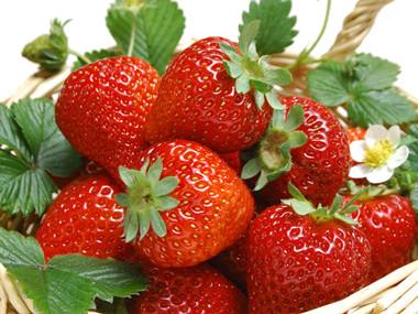 李庄草莓